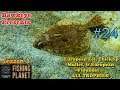Fishing Planet | #24 - S3 | European Eel, Thicklip Mullet, & European Flounder... ALL TROPHIES!