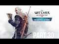 The Witcher 3: Wild Hunt Walkthrough Gameplay - Let's Play - Part 30 - Hearts of Stone DLC