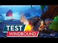 Windbound Test / Review: Bauen & Segeln in Zelda-Optik