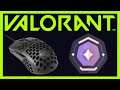 I Got a New Gaming Mouse.. and this happened! (ROAD TO VALORANT #3)
