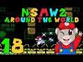 Let's Play NSMW 2: Around the World [18] - Blume statt Pilz - den Metti killt's