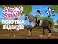 Star Stable - Покупка андалузской лошади ❤