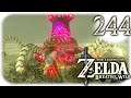 The Legend of Zelda: Breath of the Wild #244 💎Let's Play Wii U💎 Der Fechter kämpft gegen den Wächter