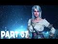 The Witcher 3 :: Wild Hunt :: PS4 Pro Gameplay :: EP37 - Through The Swamp! (Death March New Game +)