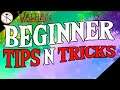 Valheim Tips and Tricks (Beginner Starter Guide)