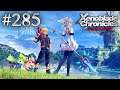 Xenoblade Chronicles: Definitive Edition Playthrough with Chaos part 285: Watching Over Them