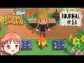 Animal Crossing New Horizons - Journal de Bord #54 [Switch]