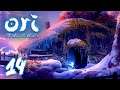 Feuer und Flamme 🦉 | Part 14 | Ori and the Will of the Wisps [Blind] [4K]