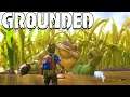 Grounded Multiplayer ★ Co-op Survival Action ★ PC Multiplayer Gameplay Deutsch German