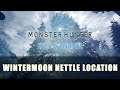 MHW Iceborne: Wintermoon Nettle Endemic Life Location