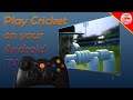 Play Cricket on Android TV with Gamepad