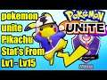 Pokemon Unite Pikachu Stat's from Lv 1 - Lv 15
