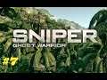 Sniper: Ghost Warrior #7 (Сам по себе) Без комментариев