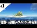 遭難した無人島でサバイバル生活【Stranded Deep】