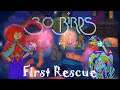 30 Birds - First Rescue