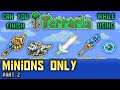 Can you finish Terraria using Minions Only? Part 2 - Terraria 1.4.1