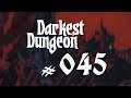 Let's Play ► DARKEST DUNGEON #045 ⛌ (Mr.Souls kennt da nix)