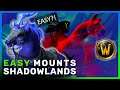 EASY MOUNTS - 6 Easy Shadowlands Mounts