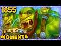 PREP WIFE Is The New Rogue Strat! | Hearthstone Daily Moments Ep.1855