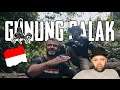 SCORPION VENOMOUS DAN TANAMAN YANG BERBAHAYA DI JUNGLE INDONESIA Reaction Indonesia MR Halal Reacts