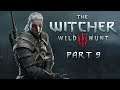 SingSing The Witcher 3: Wild Hunt - Part 9