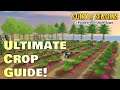 Best Crops to Plant for Each Season in Story of Seasons Pioneers of Olive Town