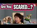 CHICKEN OUT? Daigo Scares His Opponent and He Can't Make a Move! Because of Honda's Pressure! [SFV]