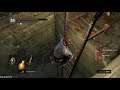 Dark Souls. Часть 24