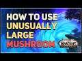 How to use Unusually Large Mushroom WoW