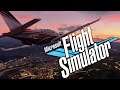 Microsoft Flight Simulator - Fight or Flight
