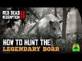 Red Dead Redemption 2 - How to Hunt The Legendary Boar