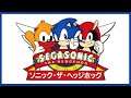 SegaSonic the Hedgehog review [Arcade] - SNESdrunk