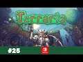 Terraria [Switch] #25 Flügel und Titanschmiede