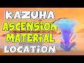 WHERE TO FIND ALL 57 "SEA GANODERMA" (Kazuha Ascension Material) | Genshin Impact 1.6