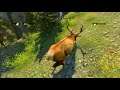 Cabela's Hunting Expeditions (PS3 Version) - Rocky Mountain Elk Hunt 2
