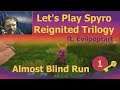Let's Play Spyro: Reignited Trilogy Almost Blind ft. Evilpoptart (01)