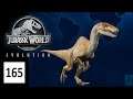 Spinoraptoren? - Let's Play Jurassic World Evolution #165 [DEUTSCH] [HD+]