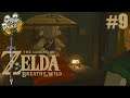 THE LEGEND OF ZELDA BREATH OF THE WILD #9 | Kakariko und der Taro-Nihi-Schrein