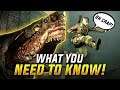 Zombie Army 4 Dead War: Did you know THIS!?