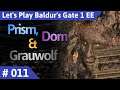 Baldur's Gate 1 deutsch Teil 11 - Prism, Dorn & Grauwolf Let's Play