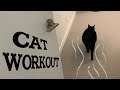 Cat Exercise