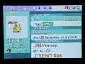 [Live + Trio Complete!] Soft resetting over a shiny Chikorita after 4,108 SR's (Emerald)