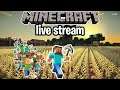 MINECRAFT LIVE STREAM | minecraft live with noob player