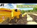 Old stream Timelapse - HARVEST season has come!