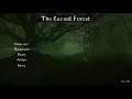The cursed forest Part 1