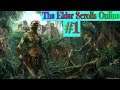 Wstęp i tworzenie postaci #1 The Elder Scrolls Online