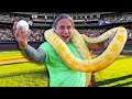 11 FOOT PYTHON THROWS OUT FIRST PITCH AT BASEBALL GAME!! | BRIAN BARCZYK