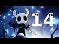 Avoiding Death and Dead Ends With Hollow Knight PART 14: Spirit Burst