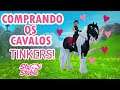 😍🐴 COMPRANDO MEU CAVALO TINKER!!! 🐴😍starstable online