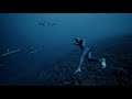 Experience the Underwater World Through the Eyes of a Free Diver   Short Film Showcase